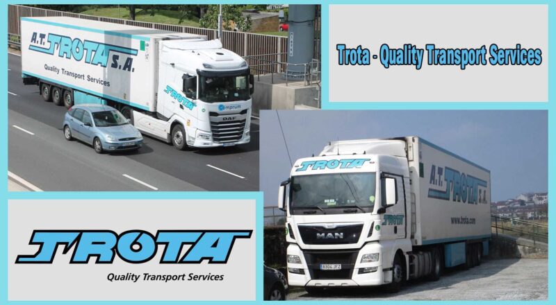 Combo Skin Quality Transport v1.0 ETS2